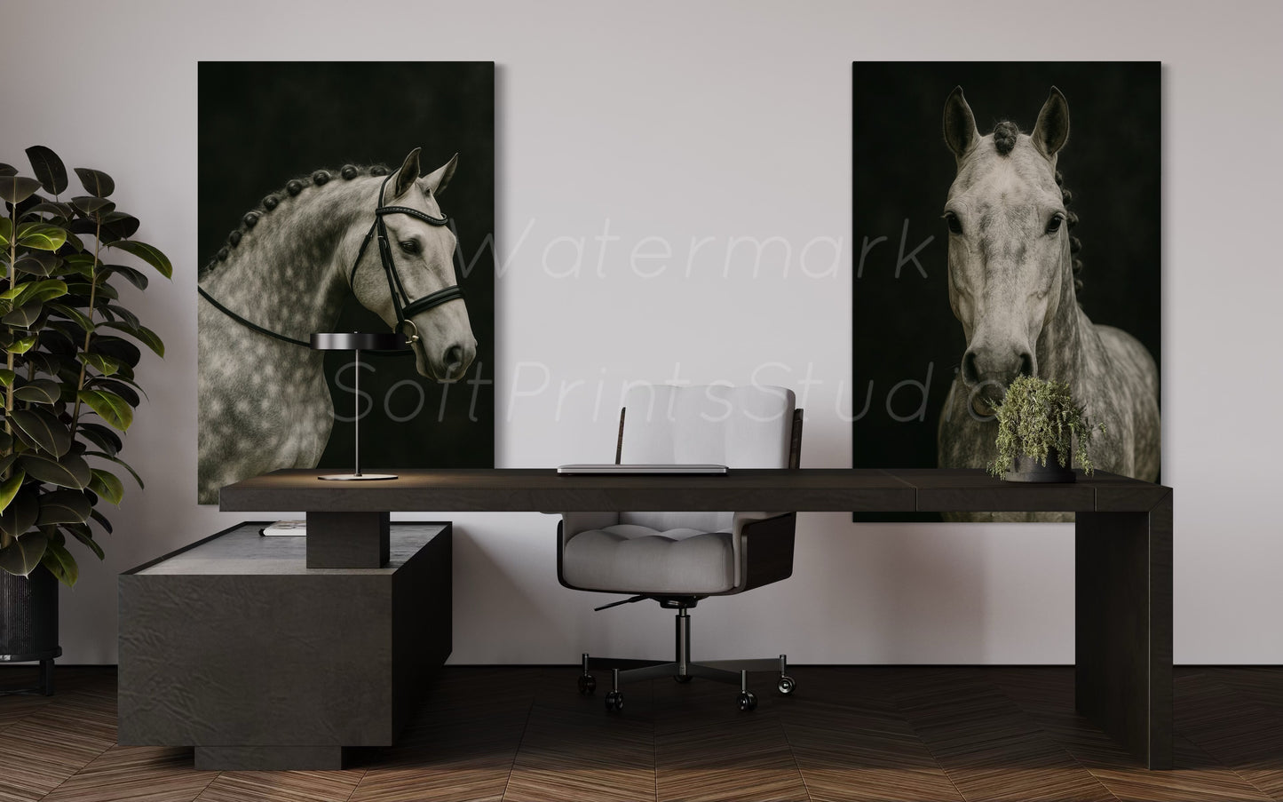 Gray English Bridle Horse Portrait