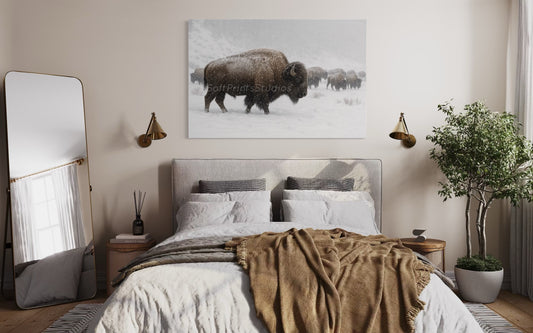 Snowy Wild West Bison wall art